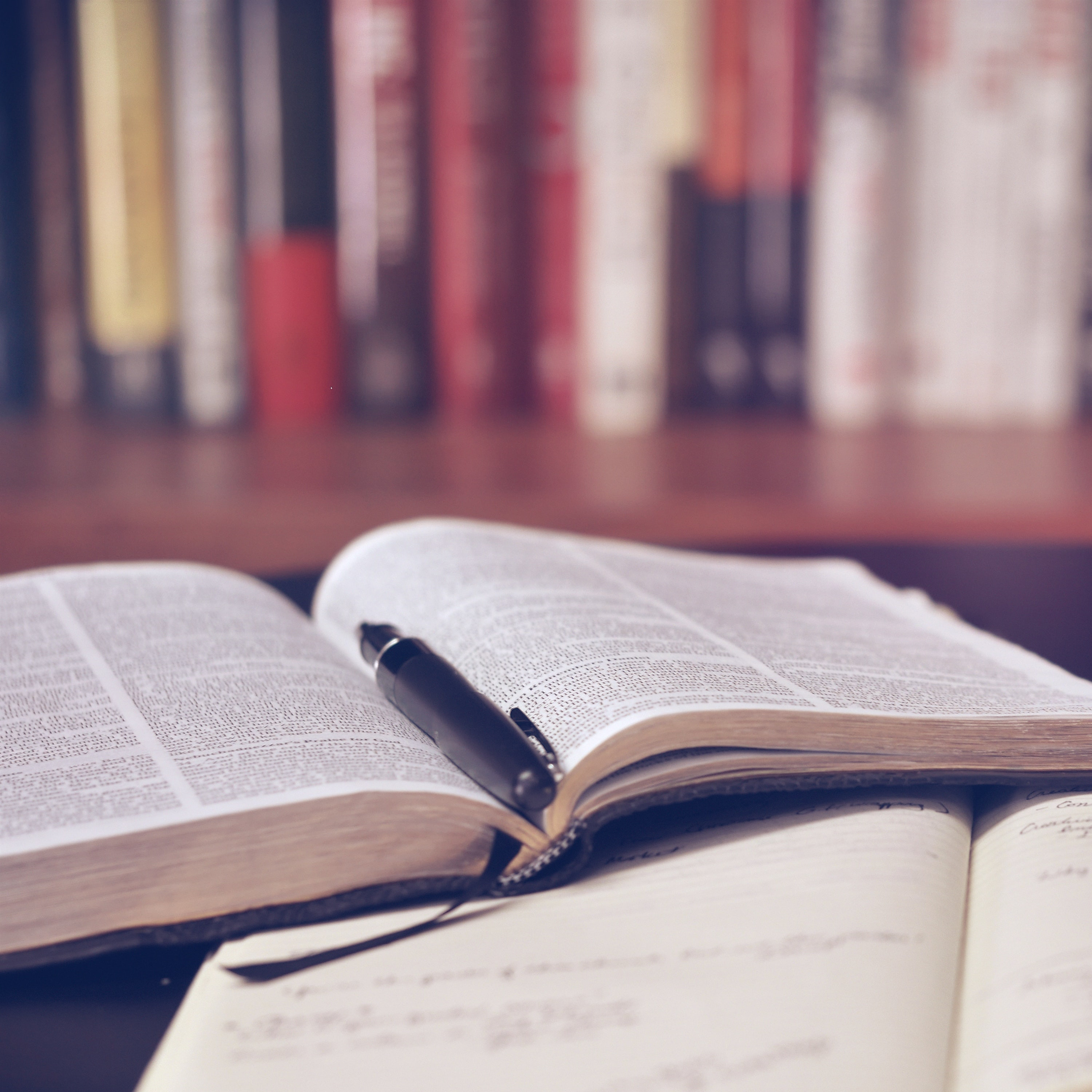 Bible Studies